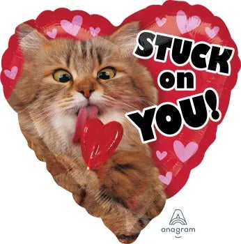 fe9e307c560b8d3d68878c13a4e491c0