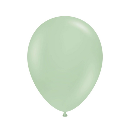 Everts Standard Eucalyptus Latex Balloons
