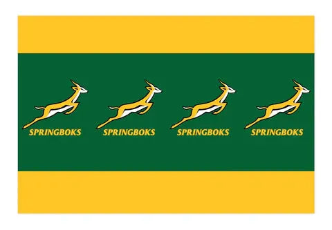Springbok Rugby Party Bundle